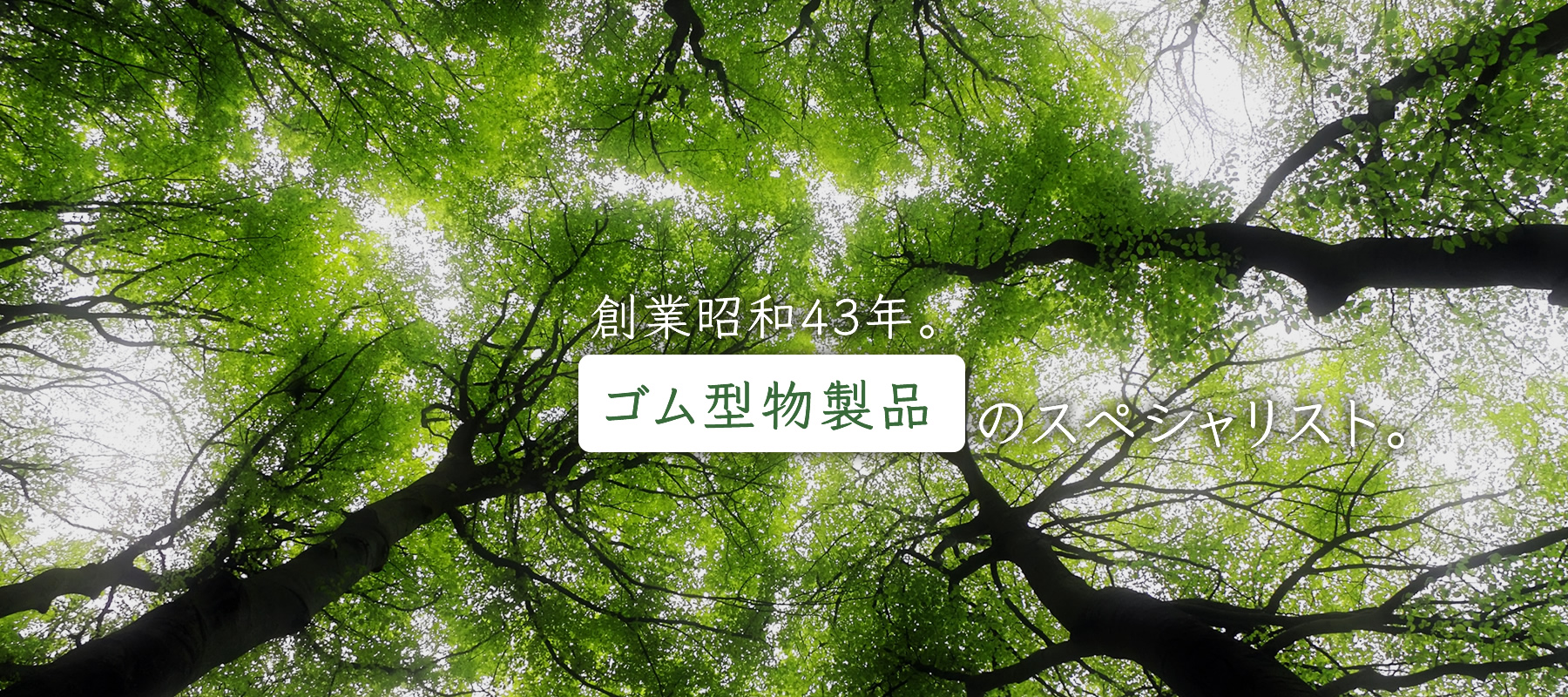 関西理研ゴム株式会社